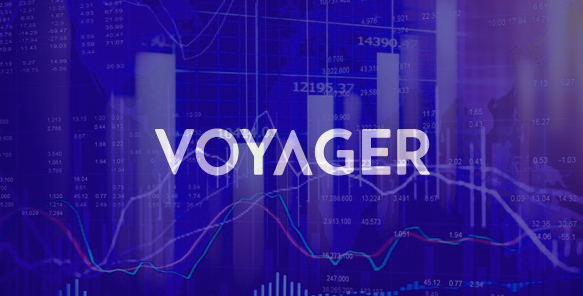 voyager app review crypto